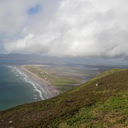 Little Yellow Rossbeigh